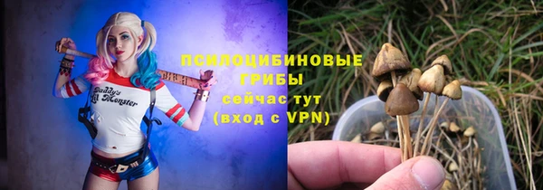 герыч Шадринск