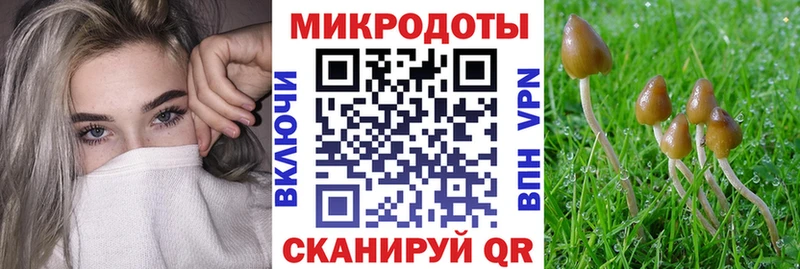 Галлюциногенные грибы GOLDEN TEACHER  Полысаево 